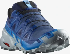 Salomon Speedcross 6 GTX blue print/ibiza blue/quarry (Herren)