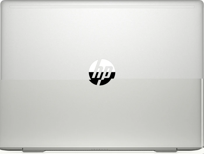 HP ProBook 445 G6, silber, Ryzen 5 2500U, 8GB RAM, 256GB SSD, DE