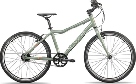 Academy Bikes Grade 5 Belt olive
