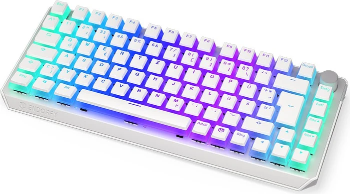 Endorfy Thock 75% Wireless Pudding, Onyx White, PBT, LEDs RGB, hot-swap, Kailh Box BLACK, USB/Bluetooth, DE