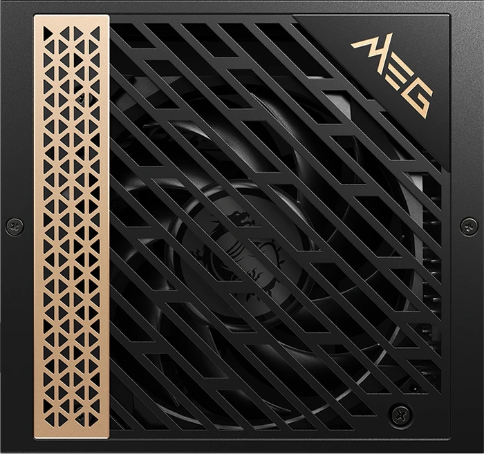 MSI MEG Ai1000P PCIE5 1000W, ATX 3.0