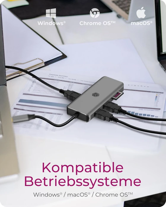 RaidSonic Icy Box IB-DK4012-CPD, USB-C 3.1 [Stecker]