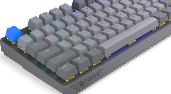 Endorfy Thock V2 TKL Wireless, PBT, grau, LEDs RGB, hot-swap, Endorfy YELLOW, USB/Bluetooth, CZ/SK