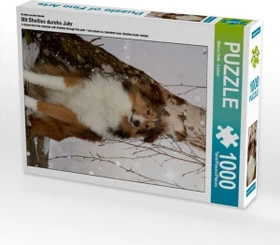 Calvendo Ein Motiv aus dem Kalender Mit Shelties durchs Jahr