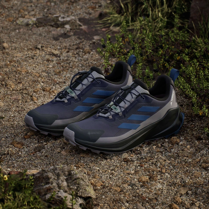 adidas Terrex Trailmaker 2 GTX Speed Lace shadow navy/wonder steel/grey three (Herren)