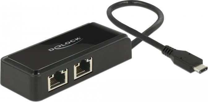DeLOCK LAN-Adapter, 2x RJ-45, USB-C 3.0 [Stecker]
