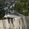 adidas Supernova 3 grey three/core black/cloud white (Herren) Vorschaubild