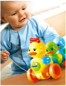 Tomy Toomies Entenfamilie