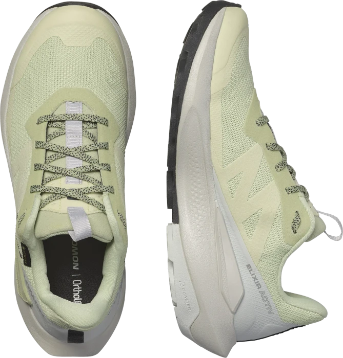 Salomon Elixir Activ Low GTX celadon green/glacier grey/phantom (Damen)