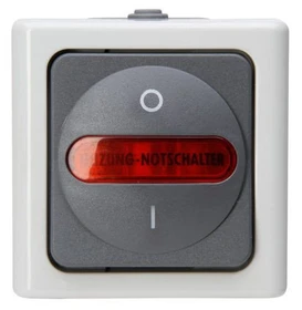 Kopp Blue Electric Heizungshauptschalter, grau