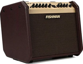 Fishman Loudbox Mini