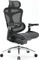 Sihoo Doro C300 Pro Vorschaubild