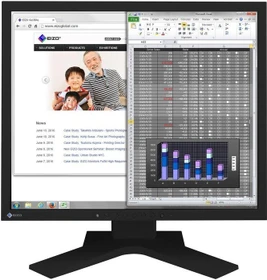 Eizo FlexScan S1934, schwarz, 19"
