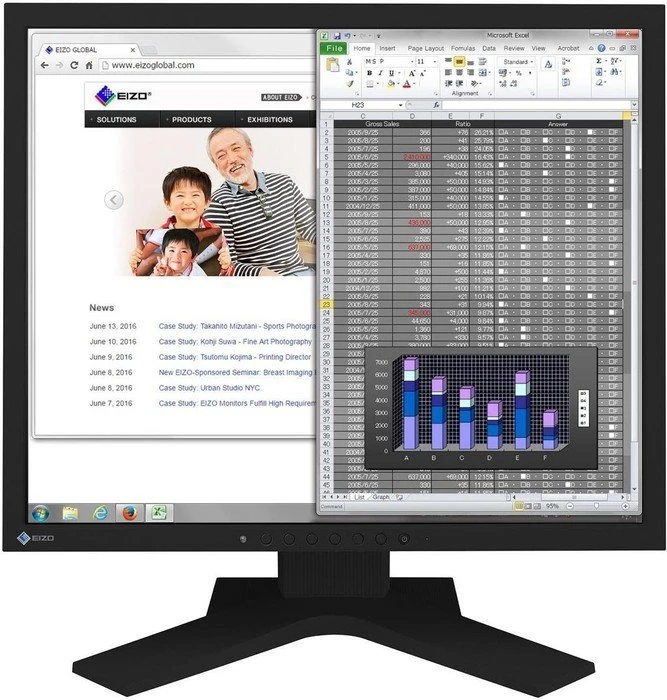 Eizo FlexScan S1934, schwarz, 19"