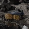 adidas Terrex Skychaser Ax5 Gore-Tex grey four/carbon/shadow navy (Herren) Vorschaubild