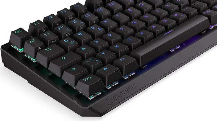 Endorfy Thock 75% Wireless, PBT, LEDs RGB, hot-swap, Kailh Box RED, USB/Bluetooth, DE