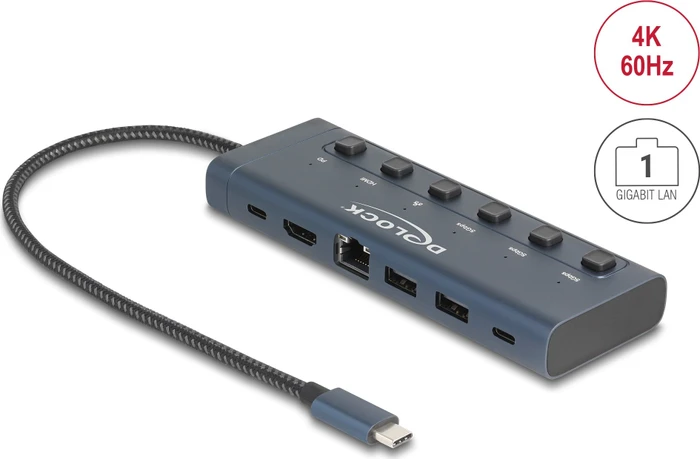 DeLOCK Dockingstation mit Schalter, USB-C 3.0 [Stecker]