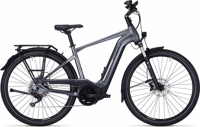 Pegasus Premio Evo 10 ABS 750Wh black chrome matt Modell 2022 (Herren)