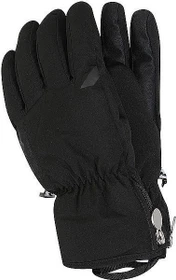 Zanier Lady.GTX Skihandschuhe schwarz (Damen)