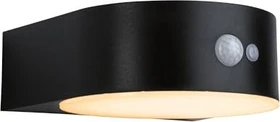 Paulmann Solar Sensor Wandleuchte Eileen 5.5W/822 schwarz