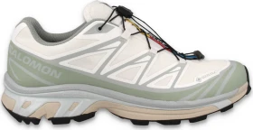 Salomon XT-6 GTX white/green milieu/ice flow