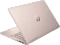 HP Pavilion x360 2-in-1 14-ek1756ng, Rosegold, Core i5-1335U, 16GB RAM, 512GB SSD, DE Vorschaubild