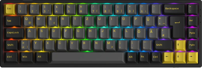 Akko 3068B Plus, Black & Gold, LEDs RGB, CS Jelly PURPLE, USB/Bluetooth, DE