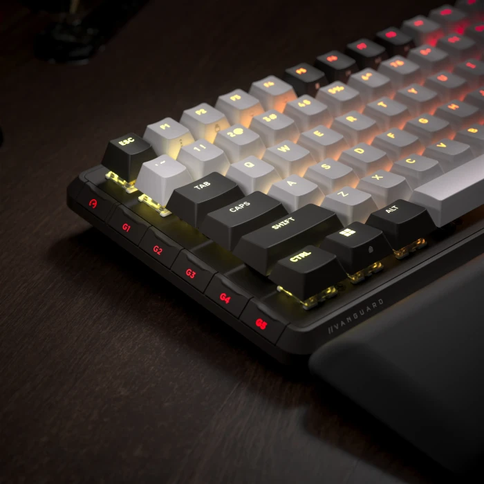 Corsair Vanguard 96, schwarz/weiß, LEDs RGB, MLX Plasma, USB, DE