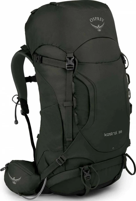Osprey Kestrel 38 picholine green (Herren)