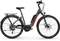 Centurion E-Fire City R850 Modell 2021 Vorschaubild