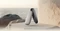 ASUS Cobble SSD Enclosure, grau, USB-C 3.1 Vorschaubild