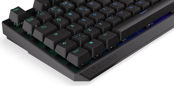 Endorfy Thock, PBT, LEDs RGB, Kailh BROWN, USB, ND