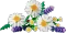 LEGO Botanicals - Gänseblümchen Vorschaubild