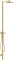 Hansgrohe Axor Starck Duschsäule mit Thermostat und Kopfbrause 240 1jet brushed gold optic Vorschaubild