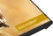 iiyama G-Master GB3295QSU-B1 Gold Phoenix, 31.5" Vorschaubild