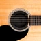 D'Addario Screeching Halt Soundhole Plug Vorschaubild