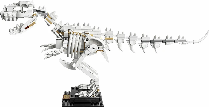 LEGO Ideas - Dinosaurier-Fossilien