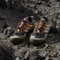adidas Terrex Skychaser GTX carbon/off white/pure tangerine (Herren) Vorschaubild