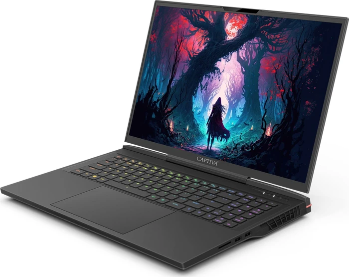Captiva Highend Gaming I81-500, Core i9-14900HX, 16GB RAM, 1TB SSD, GeForce RTX 4080, DE