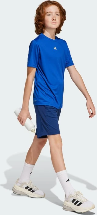 adidas Train Essentials Logo Regular Fit Funktionsshirt kurzarm royal blue/white (Junior)