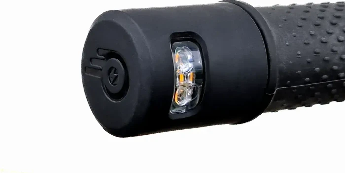 ePowerFun ePF-2 Pro 490 Elektro-Roller mit Wechselakku 20km/h