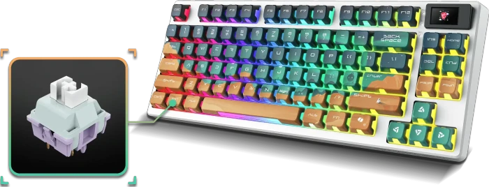 MSI FORGE GK600 TKL Wireless Mars, LEDs RGB, hot-swap, KKT Purple Star, USB/Bluetooth, US