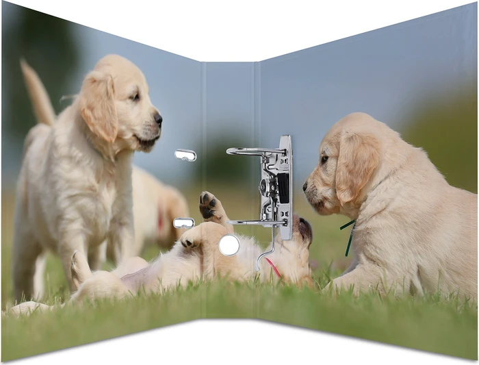 Herma Ordner 2-Ring mit Motiv, 70mm, A4, Animals Hunde