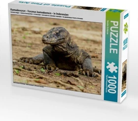 Calvendo Komodowaran - Varanus komodoensis - in Indonesien