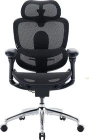 Sihoo Doro C300 Pro V2 adaptiver ergonomischer Bürostuhl, schwarz