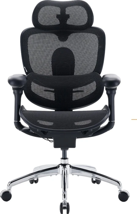 Sihoo Doro C300 Pro V2 adaptiver ergonomischer Bürostuhl, schwarz