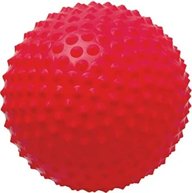 Togu Senso Ball 23cm Gymnastikball