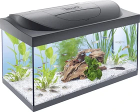 Tetra Starter Line LED 54l Aquarium, schwarz
