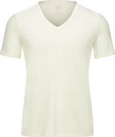 Icebreaker Anatomica V Funktionsshirt kurzarm midnight snow (Herren)