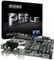 EVGA P55 LE (Intel 1156) Vorschaubild